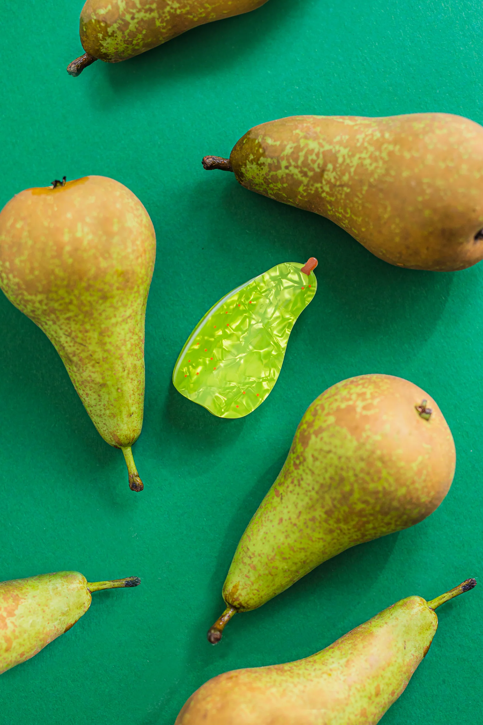Haarklem - Fruit - Image 5