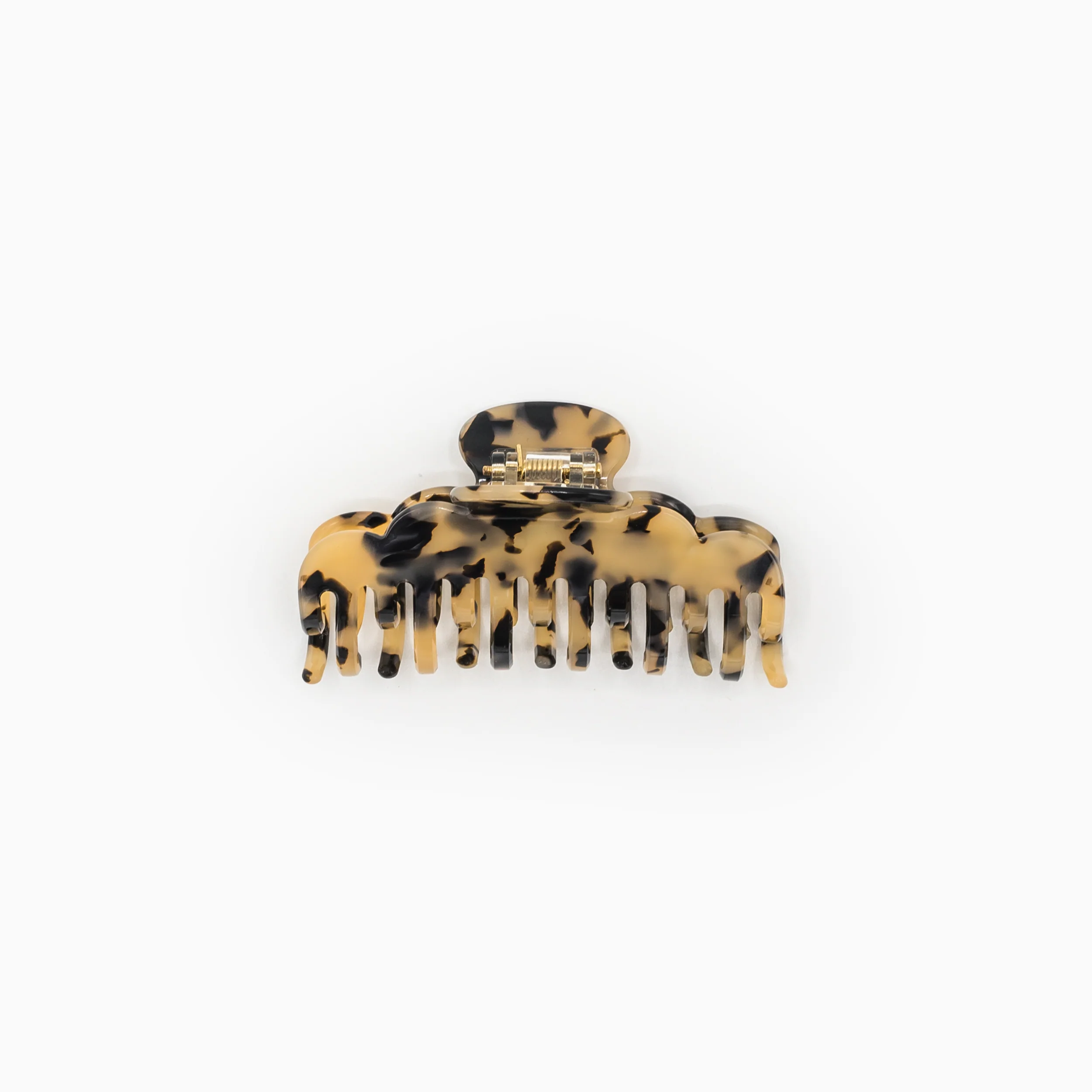 Haarklem - Merel - Image 6